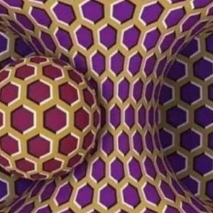 Meet your Posher, Azra